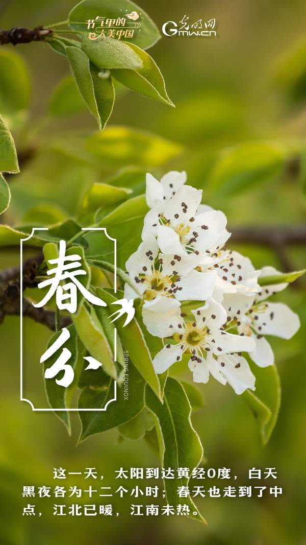 【节气里的大美中国】节气PLOG丨春分，一切都刚刚好