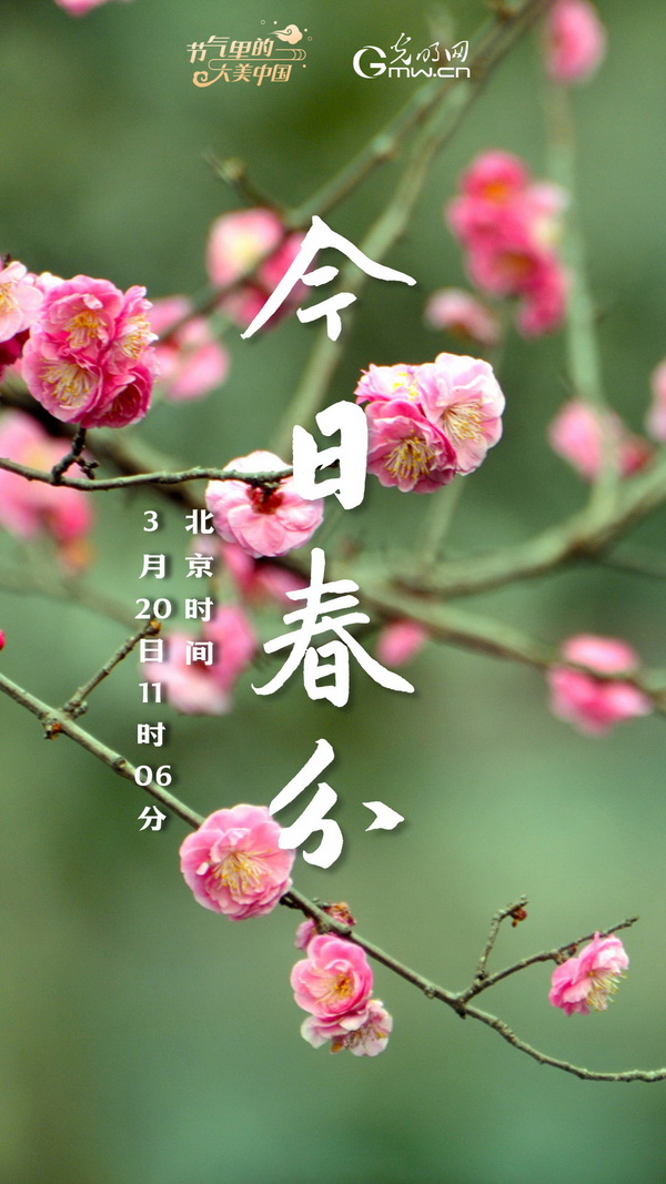 【节气里的大美中国】节气PLOG丨春分，一切都刚刚好