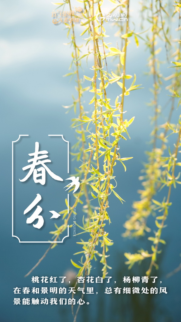 【节气里的大美中国】节气PLOG丨春分，一切都刚刚好