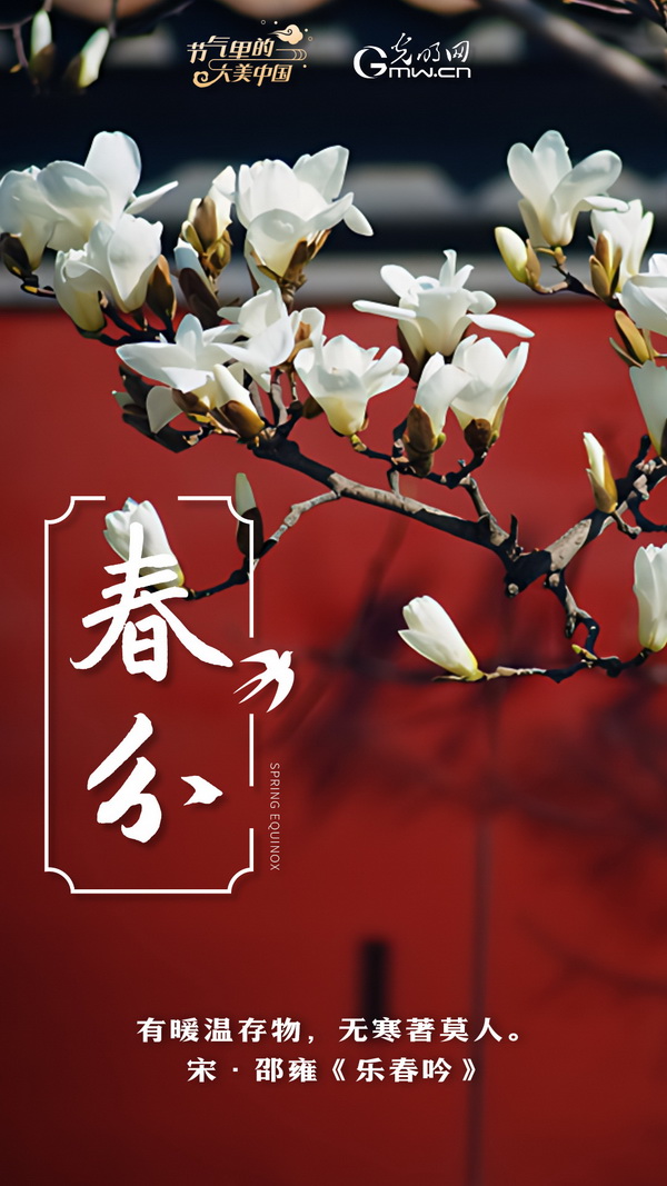 【节气里的大美中国】节气PLOG丨春分，一切都刚刚好