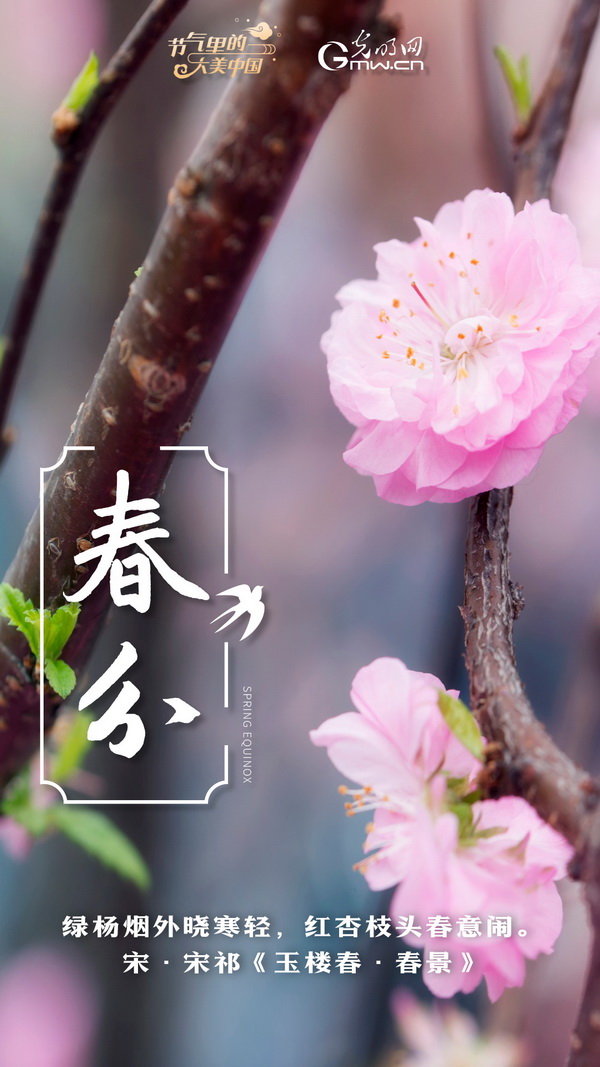 【节气里的大美中国】节气PLOG丨春分，一切都刚刚好