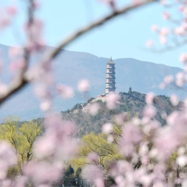 一票难求!北京,偷偷偷走我的心