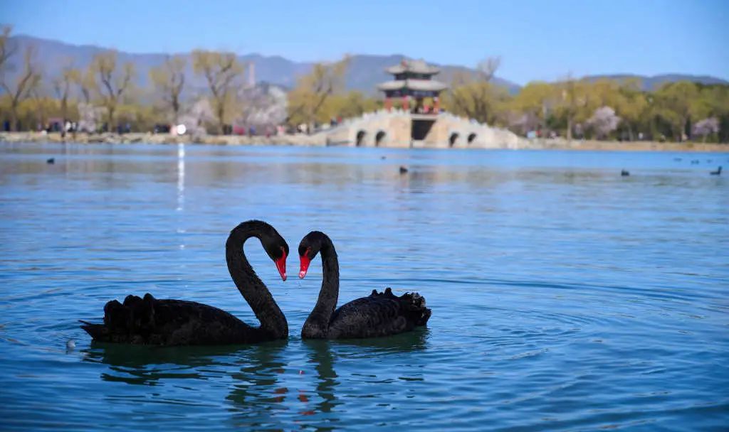 一票难求!北京,偷偷偷走我的心