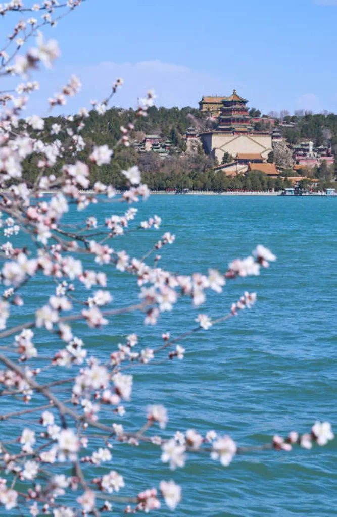 一票难求!北京,偷偷偷走我的心