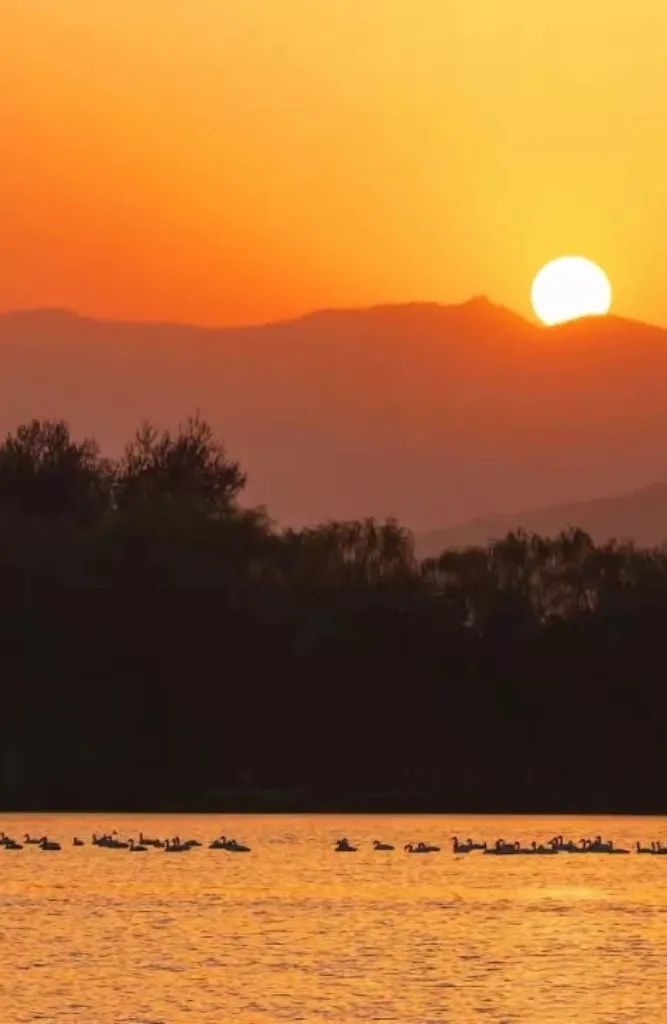 一票难求!北京,偷偷偷走我的心