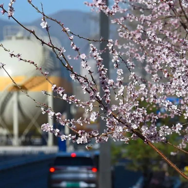 一票难求!北京,偷偷偷走我的心