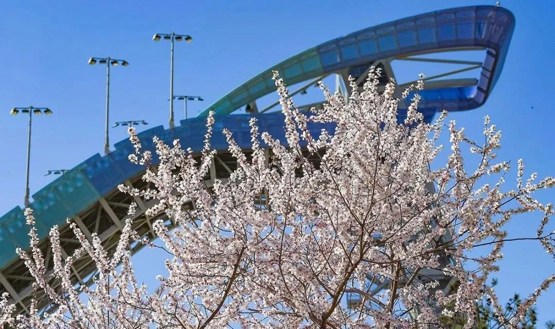 一票难求!北京,偷偷偷走我的心