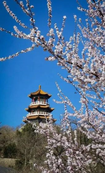 一票难求!北京,偷偷偷走我的心