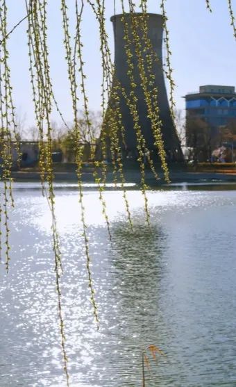 一票难求!北京,偷偷偷走我的心