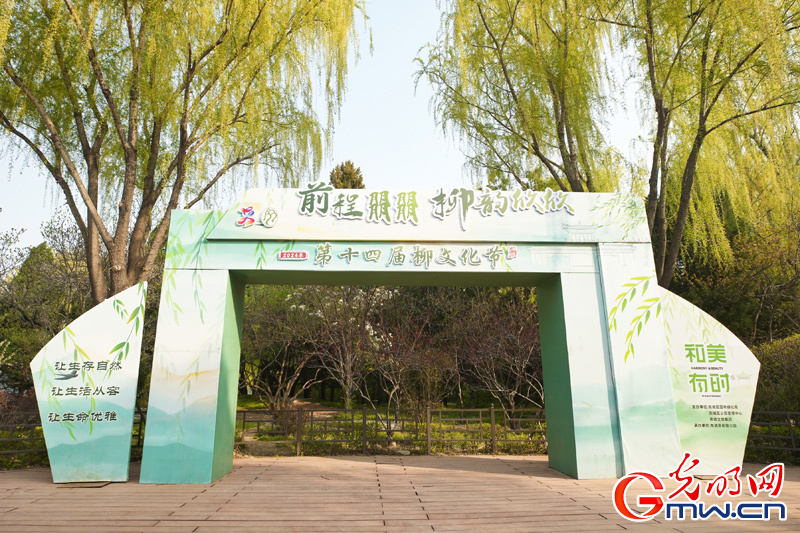 组图丨【网络中国节·清明】第十四届柳文化节拉开帷幕 踏青赏柳正当时