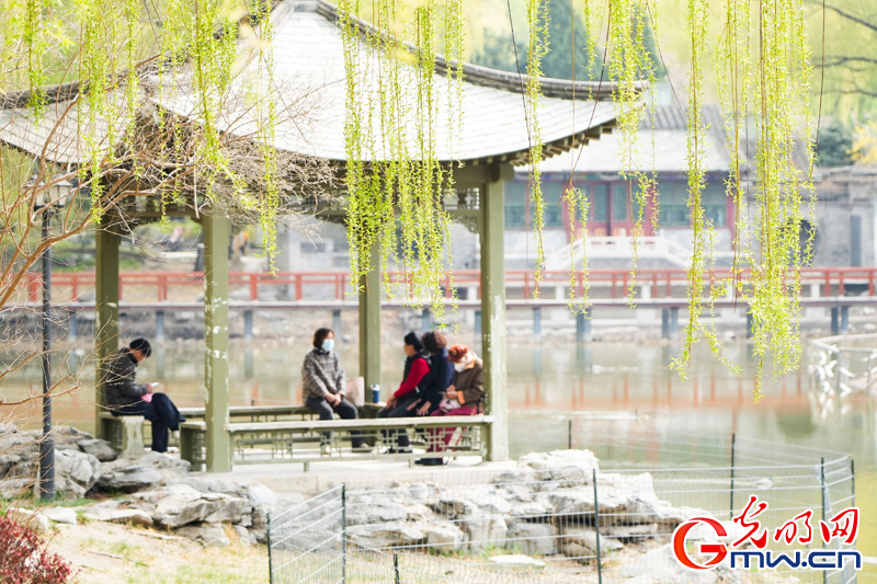 组图丨【网络中国节·清明】第十四届柳文化节拉开帷幕 踏青赏柳正当时