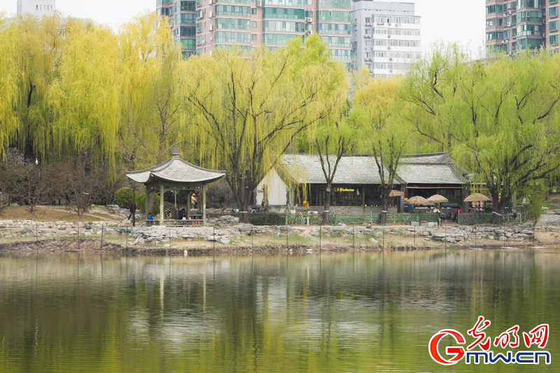 组图丨【网络中国节·清明】第十四届柳文化节拉开帷幕 踏青赏柳正当时
