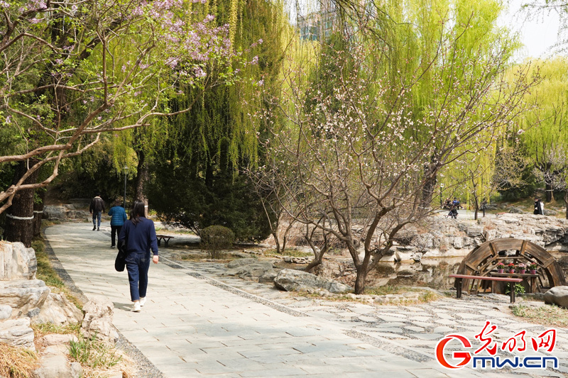 组图丨【网络中国节·清明】第十四届柳文化节拉开帷幕 踏青赏柳正当时