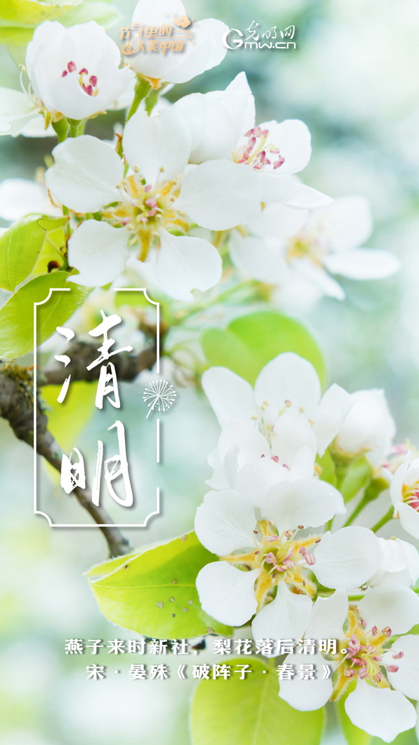【节气里的大美中国】节气PLOG丨“这盛世如你所愿”