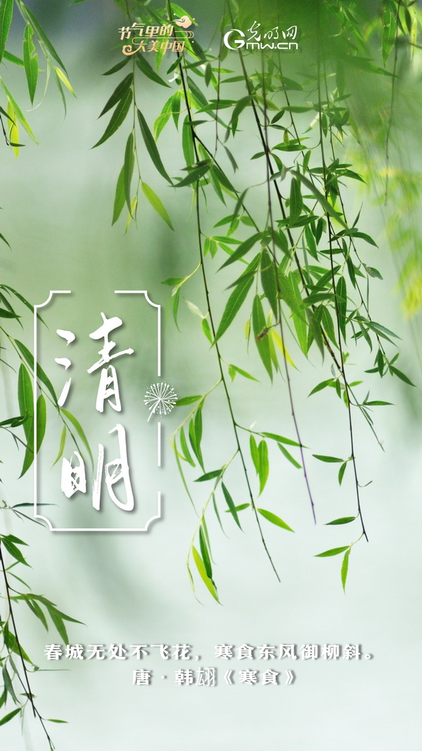 【节气里的大美中国】节气PLOG丨“这盛世如你所愿”