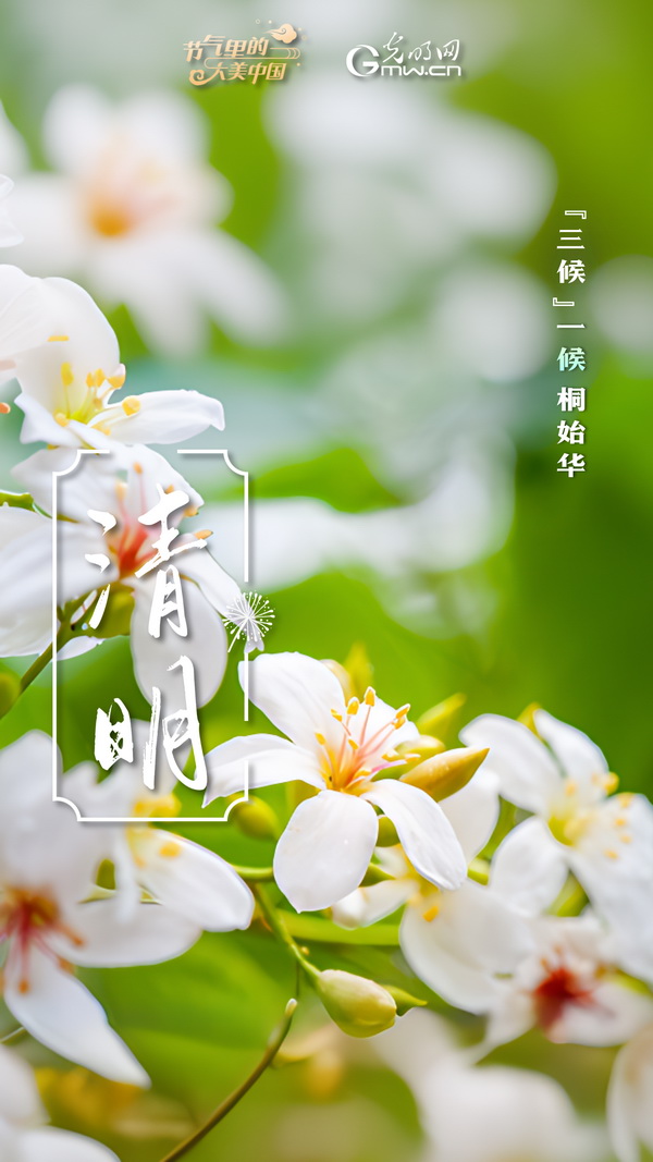 【节气里的大美中国】节气PLOG丨“这盛世如你所愿”