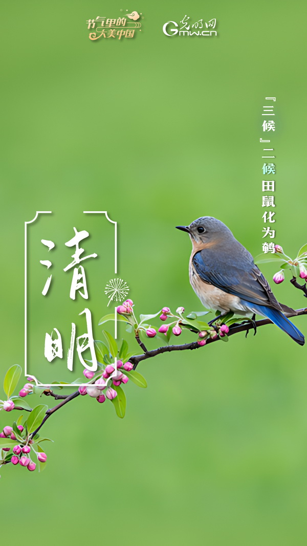 【节气里的大美中国】节气PLOG丨“这盛世如你所愿”