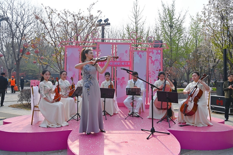 鹤舞樱飞 第十届中国（鹤壁）樱花季华美启幕