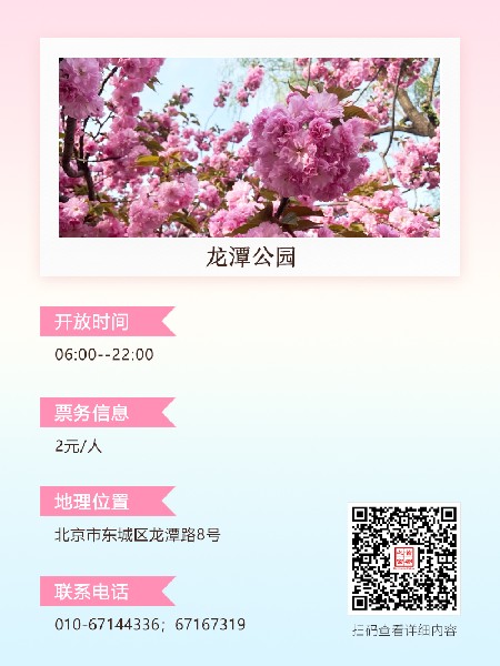 追花指南第四期！看樱花不只玉渊潭，别错过京城樱花最佳观赏期