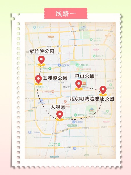 追花指南第五期！这个春天，一定要去看一次梅花