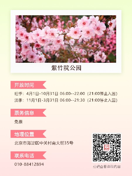 追花指南第五期！这个春天，一定要去看一次梅花