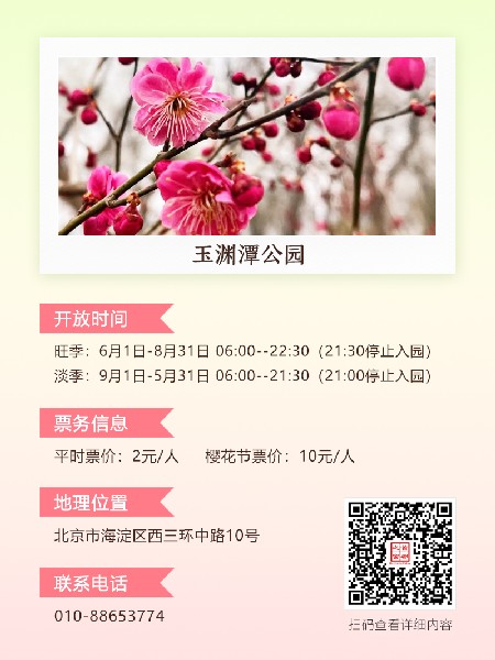 追花指南第五期！这个春天，一定要去看一次梅花