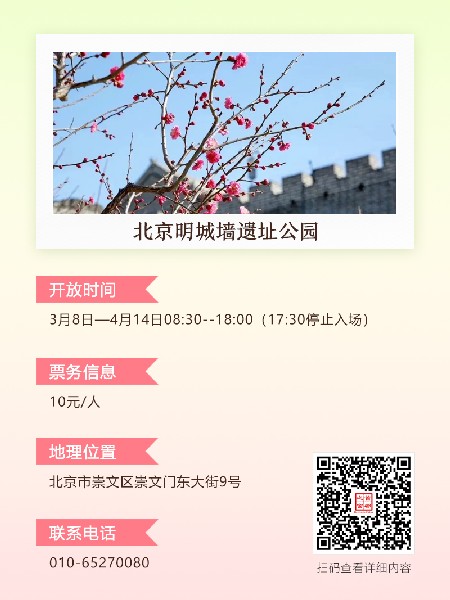 追花指南第五期！这个春天，一定要去看一次梅花