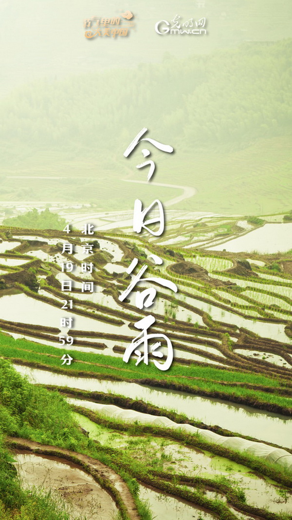 【节气里的大美中国】节气PLOG丨谷雨：莫负这最后的春光！