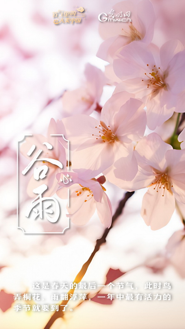 【节气里的大美中国】节气PLOG丨谷雨：莫负这最后的春光！