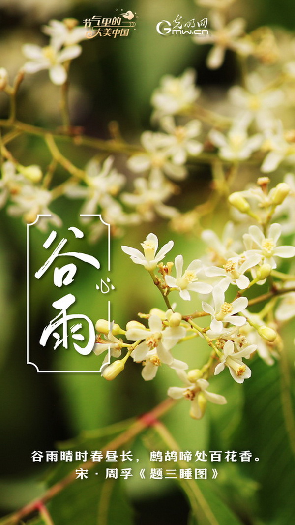 【节气里的大美中国】节气PLOG丨谷雨：莫负这最后的春光！