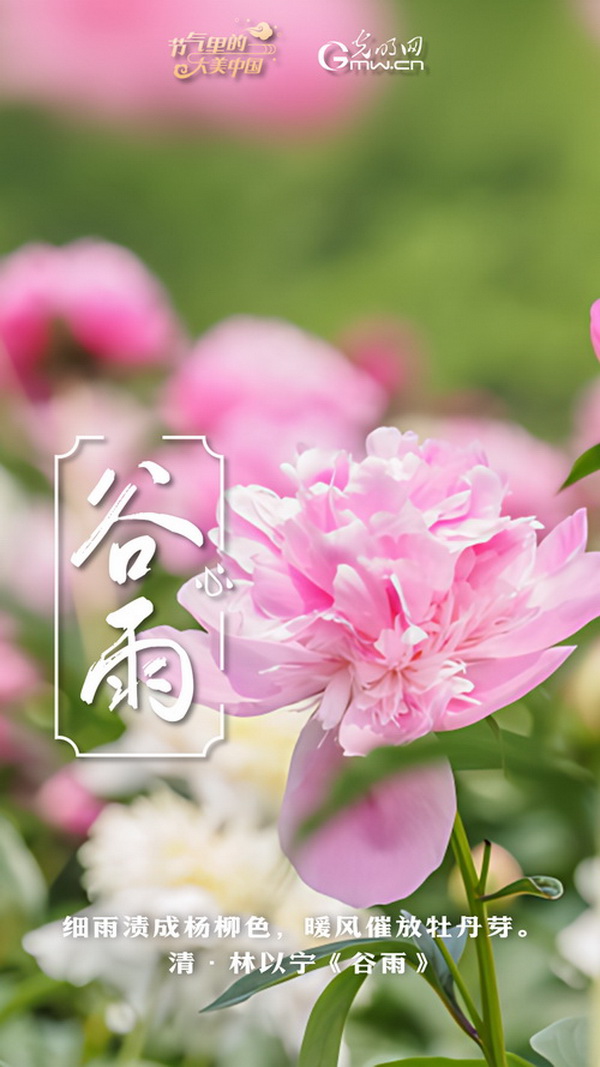 【节气里的大美中国】节气PLOG丨谷雨：莫负这最后的春光！