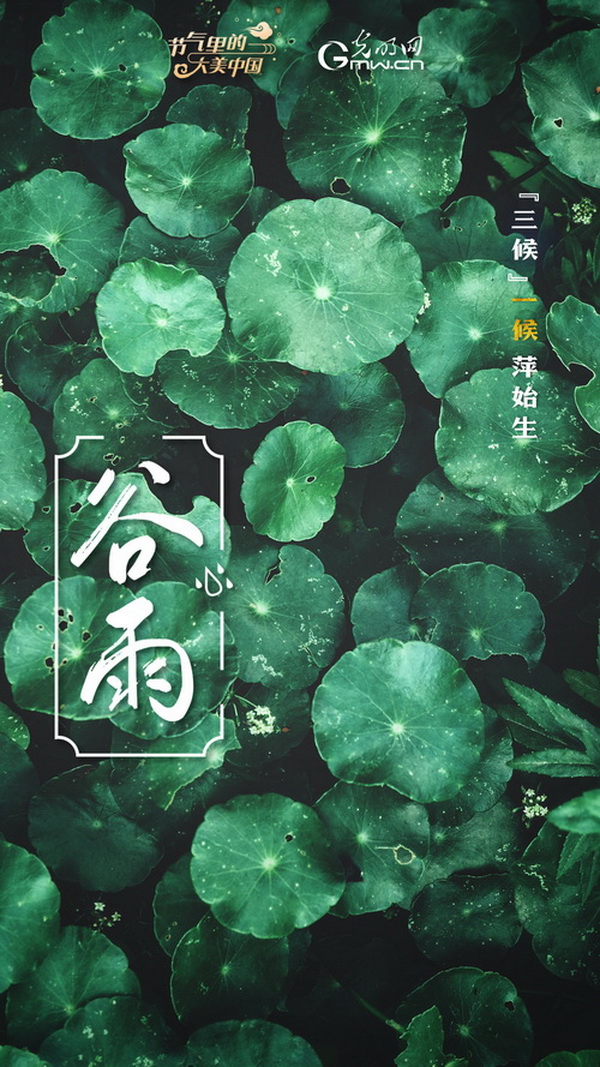 【节气里的大美中国】节气PLOG丨谷雨：莫负这最后的春光！