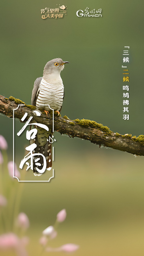 【节气里的大美中国】节气PLOG丨谷雨：莫负这最后的春光！