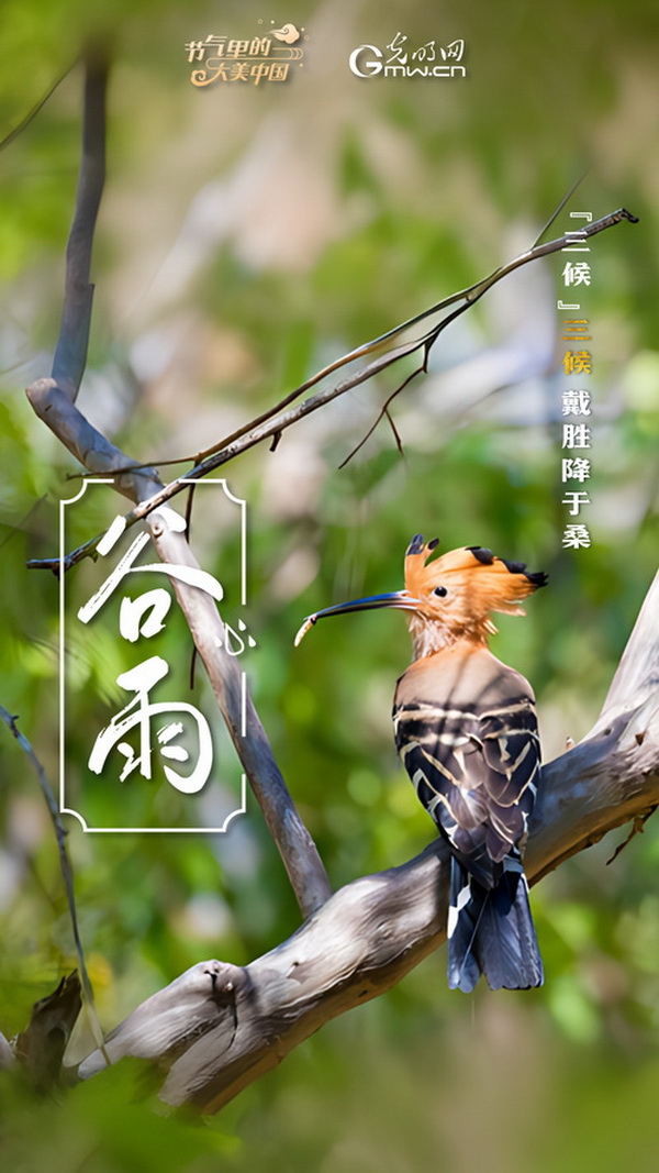 【节气里的大美中国】节气PLOG丨谷雨：莫负这最后的春光！