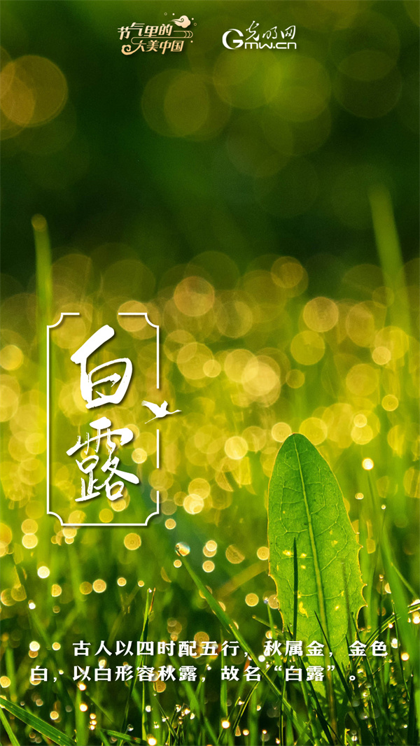 【节气里的大美中国】节气PLOG丨白露秋凉，奔赴金秋