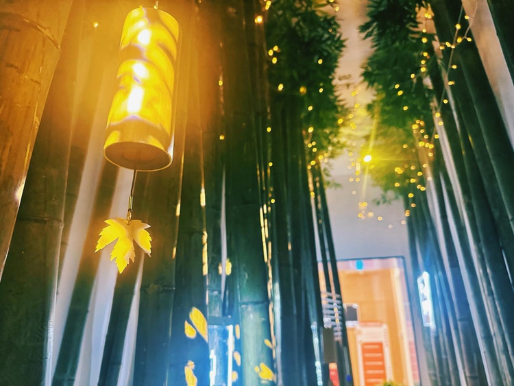 浙江嘉兴市图书馆推出五感阅读疗愈空间