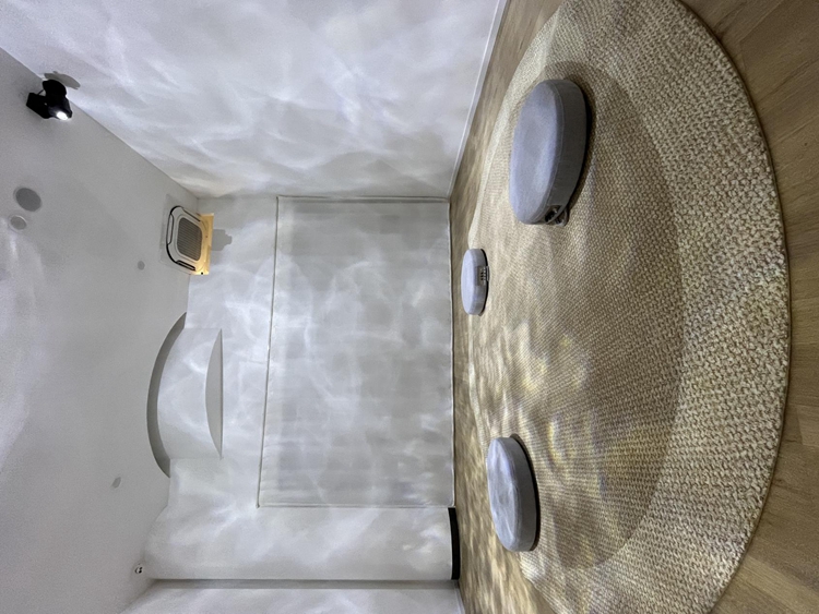 浙江嘉兴市图书馆推出五感阅读疗愈空间 浙江嘉兴市图书馆推出五感阅读疗愈空间