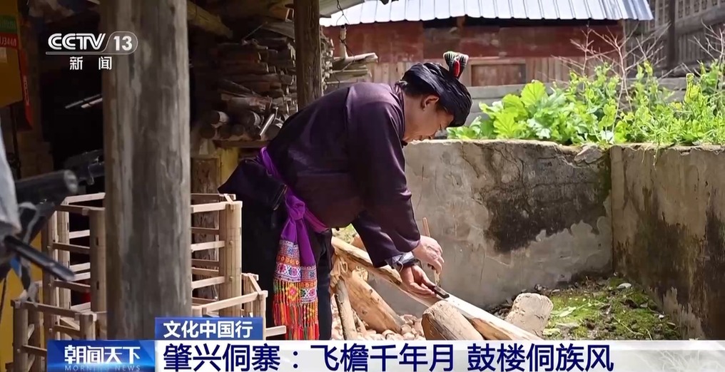 【文化中国行】千年侗寨杰作！不用一钉的鼓楼如何成为“活建筑史书”