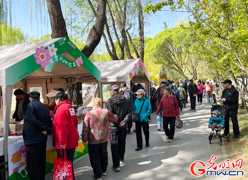 北京柳荫公园第十五届柳文化节开幕