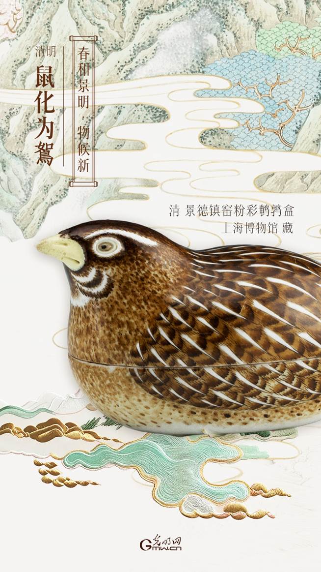 【节气里的大美中国】清明雅韵：春和景明间的物候新章