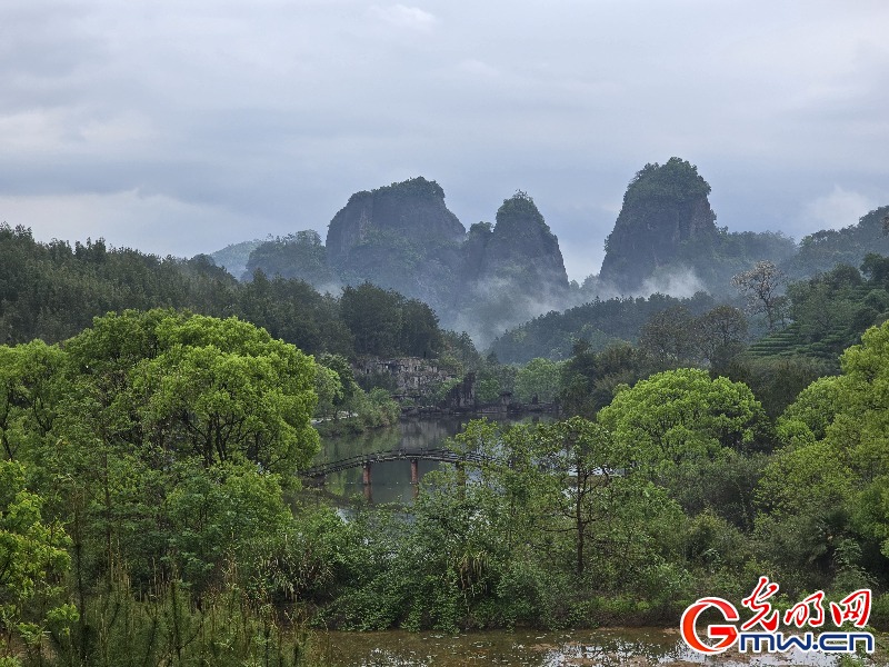 【何以中国】武夷红茶背后，是绿树蓝天