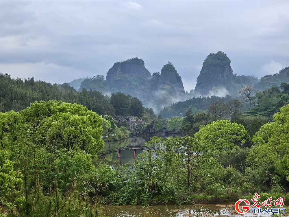 【何以中国】武夷山下茶人事