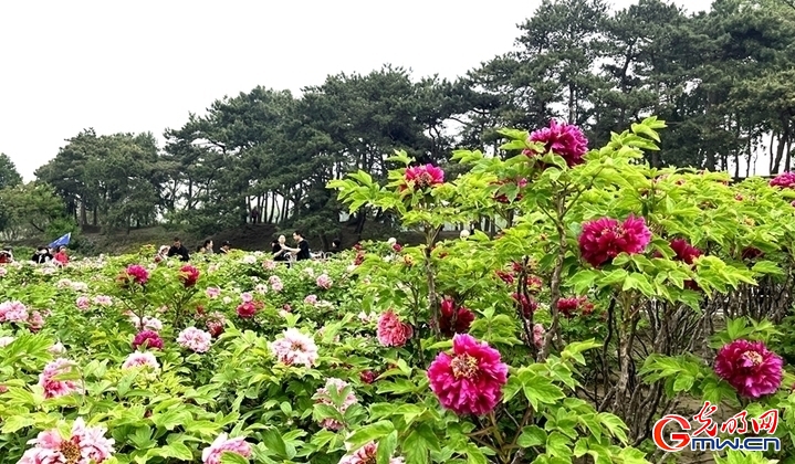 世界读书日将至，圆明园多场阅读活动精彩纷呈