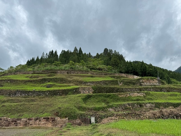 【文博V观】在永顺老司城，这三招让人与自然和谐共生