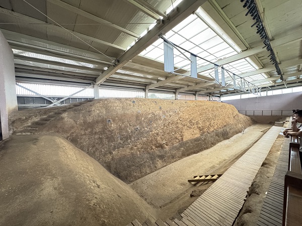 【文博V观】“小家碧玉”与“大家闺秀”的遗址保护经，湖南澧县这样做