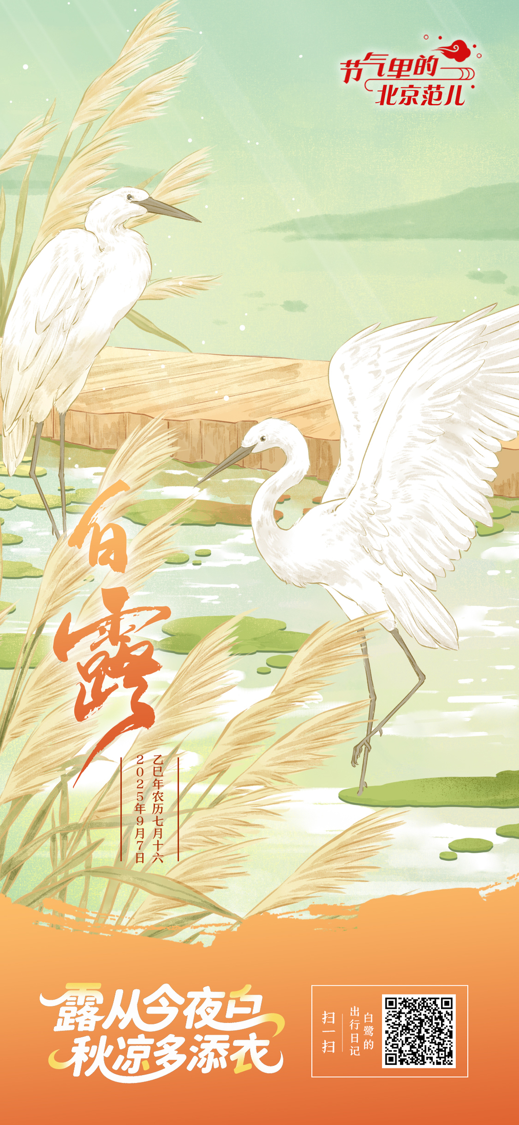 【节气里的北京范儿】白露海报｜露从今夜白 秋凉多添衣