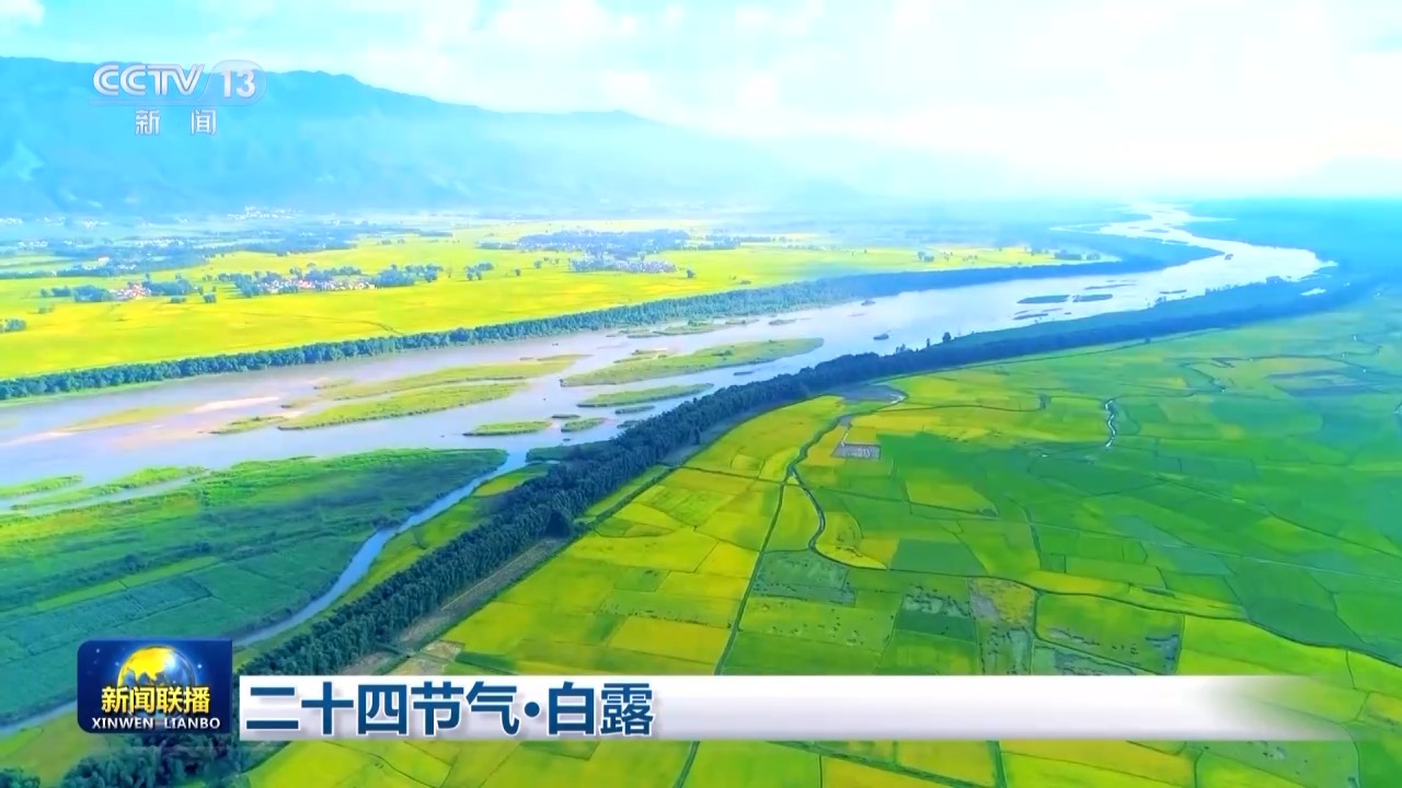 文化中国行丨二十四节气·白露 露从今夜白 月是故乡明