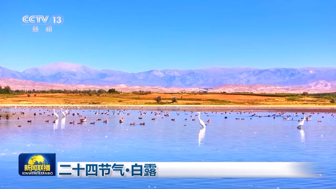 文化中国行丨二十四节气·白露 露从今夜白 月是故乡明