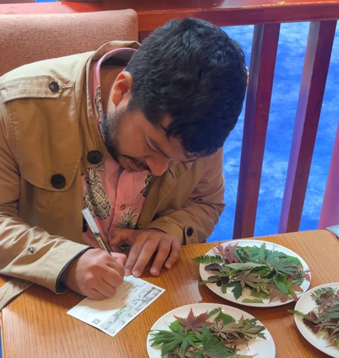 山中酬唱,诗短情长——记2025国际青春诗会(中国—拉美国家专场)走进陕西商洛