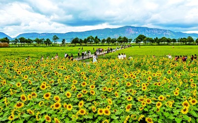 【网络中国节·中秋】共赏同一轮明月 诉说同一份思念